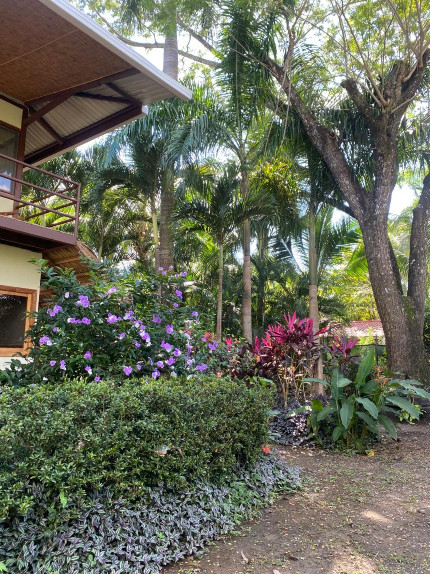 Jazlyn Lodge & Tours ปาเกรา ภายนอก รูปภาพ
